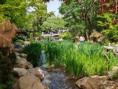 -大连植物园