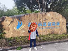 -森波拉火山温泉