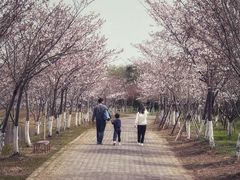 -上海海湾国家森林公园