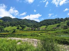 -关山草原