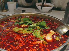 -蛙蛙鸡冷锅鱼(驷马桥店)