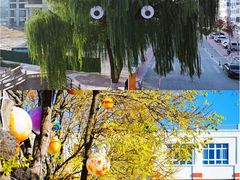 -兴芮温泉度假区