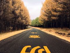 -塞罕坝国家级自然保护区