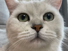 -FAELING PETS美天灵宠物(富力广场店)