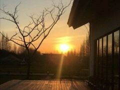 -前小桔亲子创意农场·草莓采摘·露营烧烤