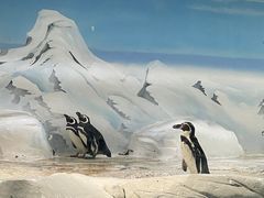 -上海海洋水族馆