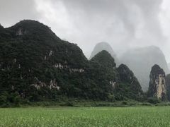 -明仕田园