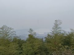 -紫金山山顶公园