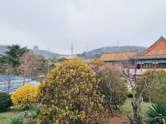 -湛山寺