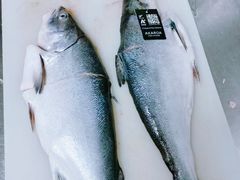 -浦江餐饮•上海菜馆(五四路店)