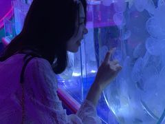 -左海海底世界