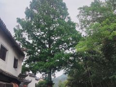 -绩溪龙川景区