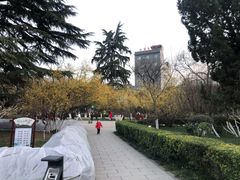 -莲湖公园