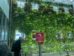 -西沃古尔·拉姆古兰爵士国际机场