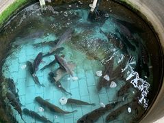 -贤鲁岛贤溪农庄