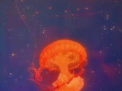 -波塞冬旅游度假区