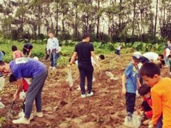 -前小桔亲子创意农场·草莓采摘·露营烧烤