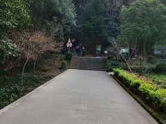 -上海佘山国家森林公园天马山园