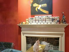 -猫色咖啡·猫咖
