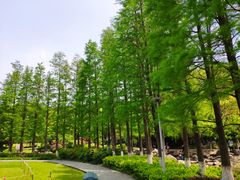 -昆山城市公园