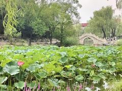 -近春园遗址