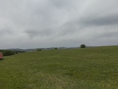 -御道口草原森林风景区