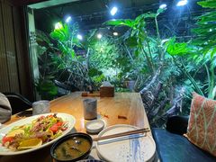 -森味薪火烧•烧鸟居酒屋•日本料理(望京店)