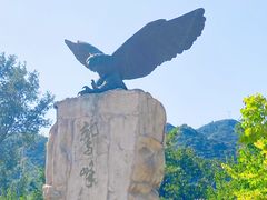 -北京鹫峰国家森林公园