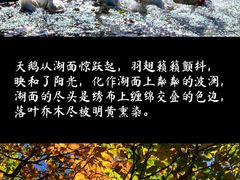 -少华山国家森林公园