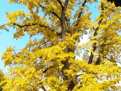 -金堂县云顶石城风景区