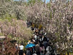 -元大都城垣遗址公园