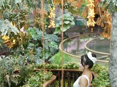 -正佳雨林生态植物园
