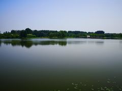 -东郊湿地公园