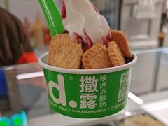 -Salud撒露欧洲冻酸奶(五道口购物中心店)