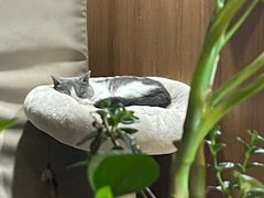 -IFIF 如果花園(宽厚里店)