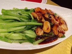 -大海碗·炸酱面·烤鸭·京菜(天坛店)