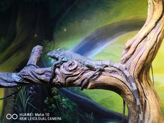 -华夏文旅海洋公园