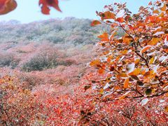 -周口店坡峰岭风景区