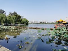 -济南大明湖景区