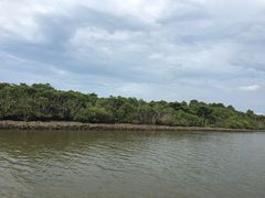 -东寨港红树林旅游区