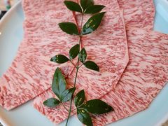 -然锅料理