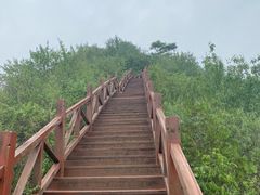 -大岭沟猕猴桃谷风景区