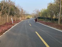 -同里国家湿地公园