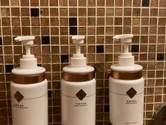 -丽思卡尔顿酒店泳池(金融街店)