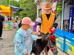 -大连海昌发现王国主题公园