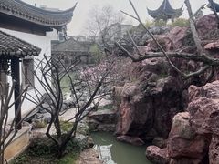 -芥子园