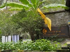 -野蔓果·山野菜(西湖景区·龙井茶田店)