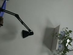 -百家康养生馆(龙口西店)