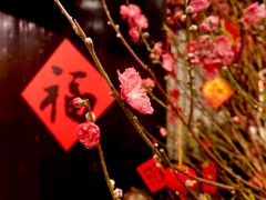 -中国大酒店·食街