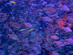 -成都浩海立方海洋公园